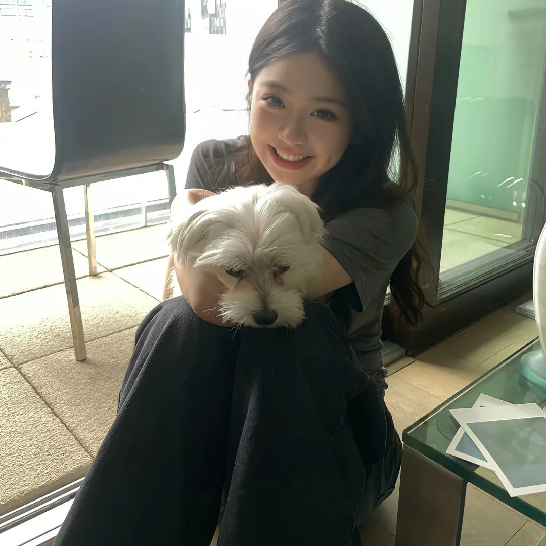 玻璃之花与坏掉的世界
